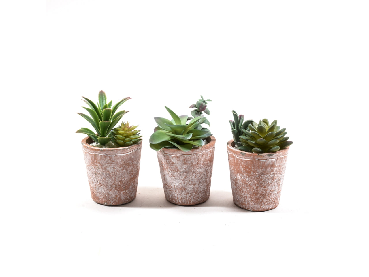 Pianta grassa con vaso in terracotta verde e marrone fogliame opaco 14x8 cm - M Home$