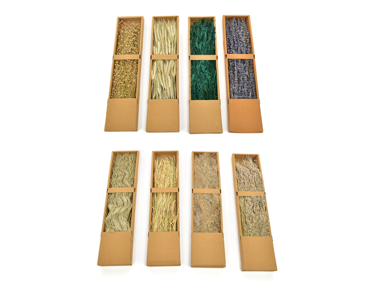 Decorazione fiori secchi naturali 15xh.60cm assortito in display
