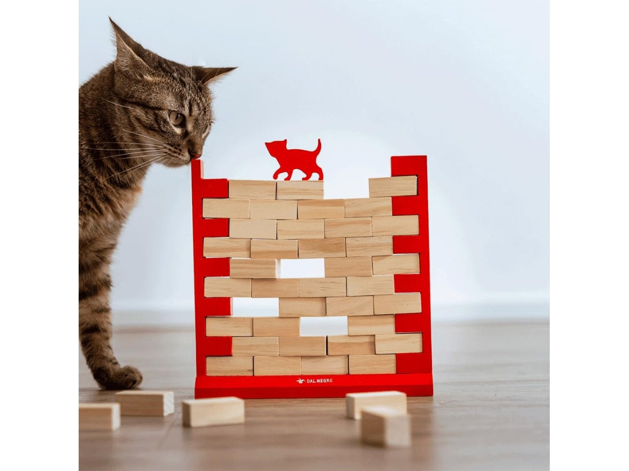 Dal negro gioco mind the cat