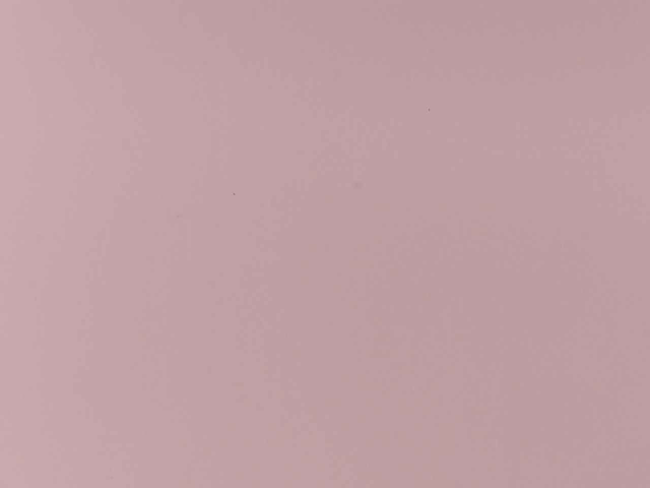 Busta satinato 18x50cm 50 pezzi rosa