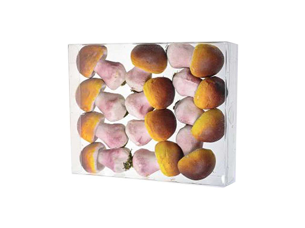Funghi 12pezzi