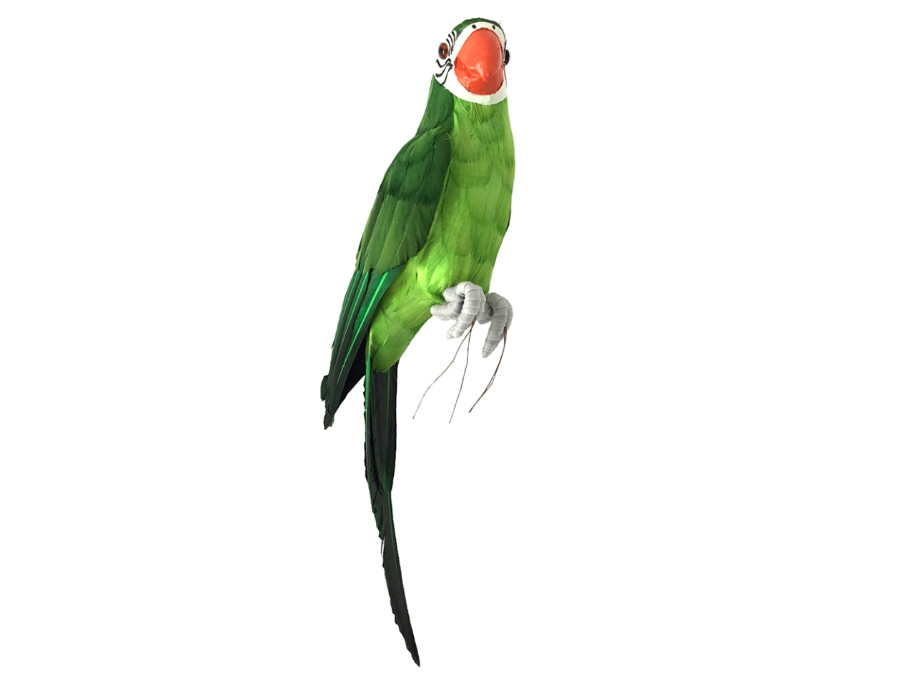 Papagallo 42x10x13cm