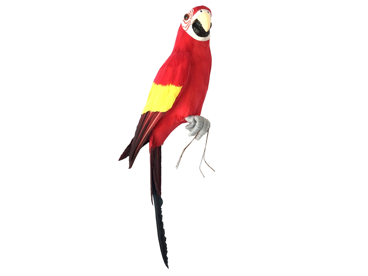 Papagallo 42x10x13cm