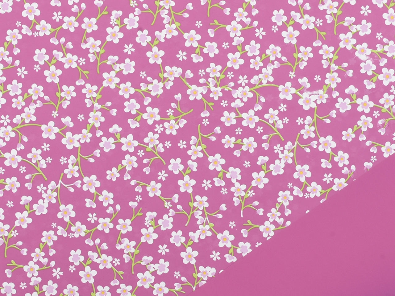 Bobina blossoms 1x25m