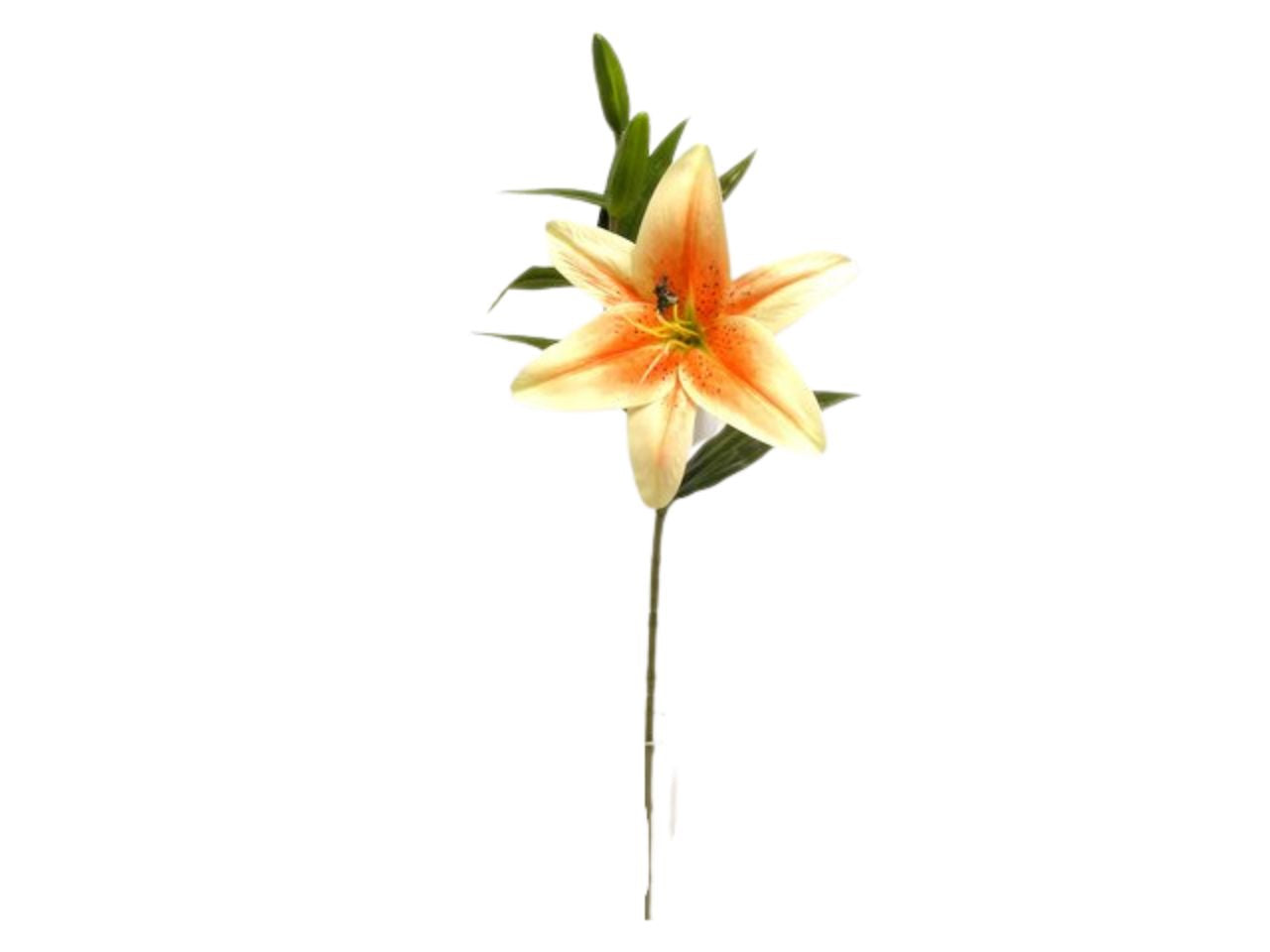 Mazzo giglio cm75 arancio