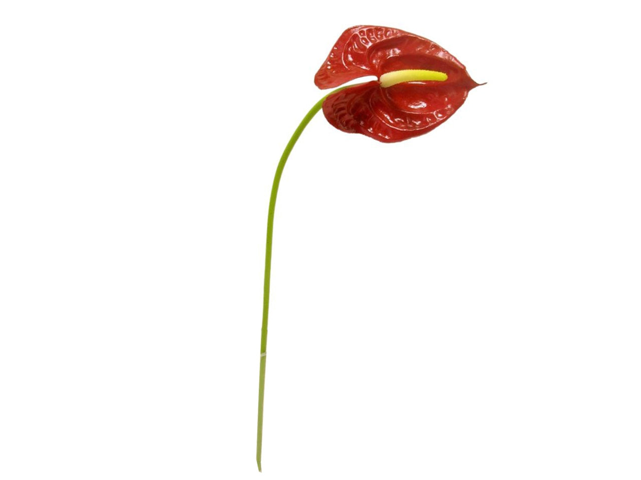 Fiore di anthurium spruzzato misura 57cm colore naturale