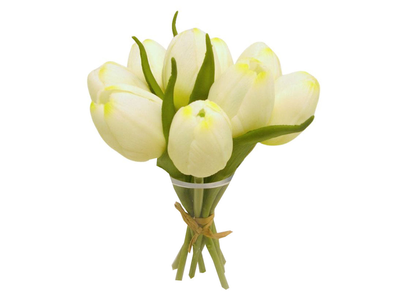 Tulipani mazzo set da 7 tulipani crema
