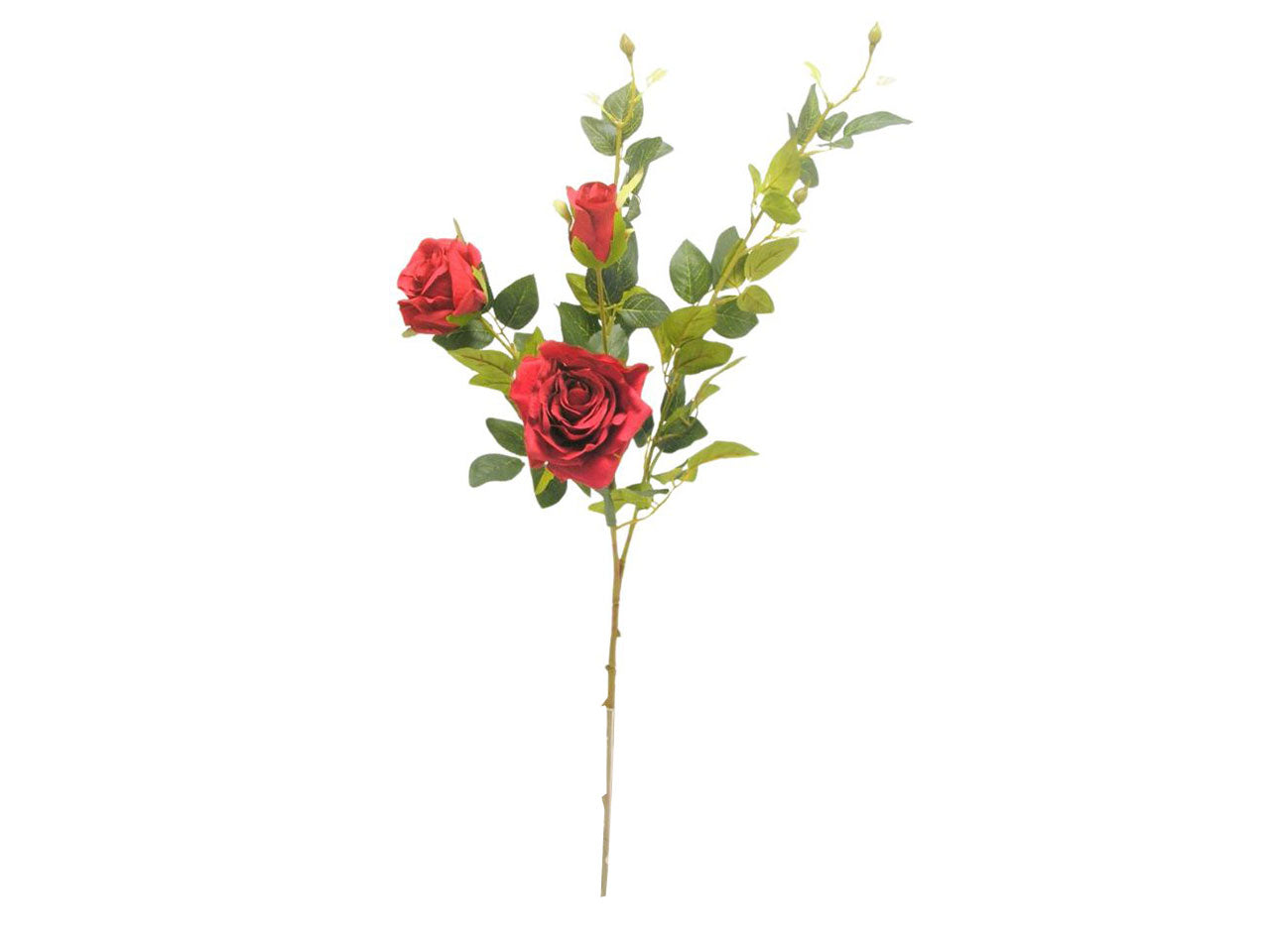 Rosa spruzzata 91cm rosse