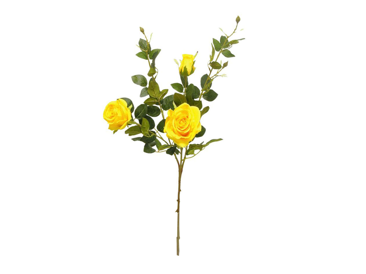 Rosa spruzzata 91cm gialle
