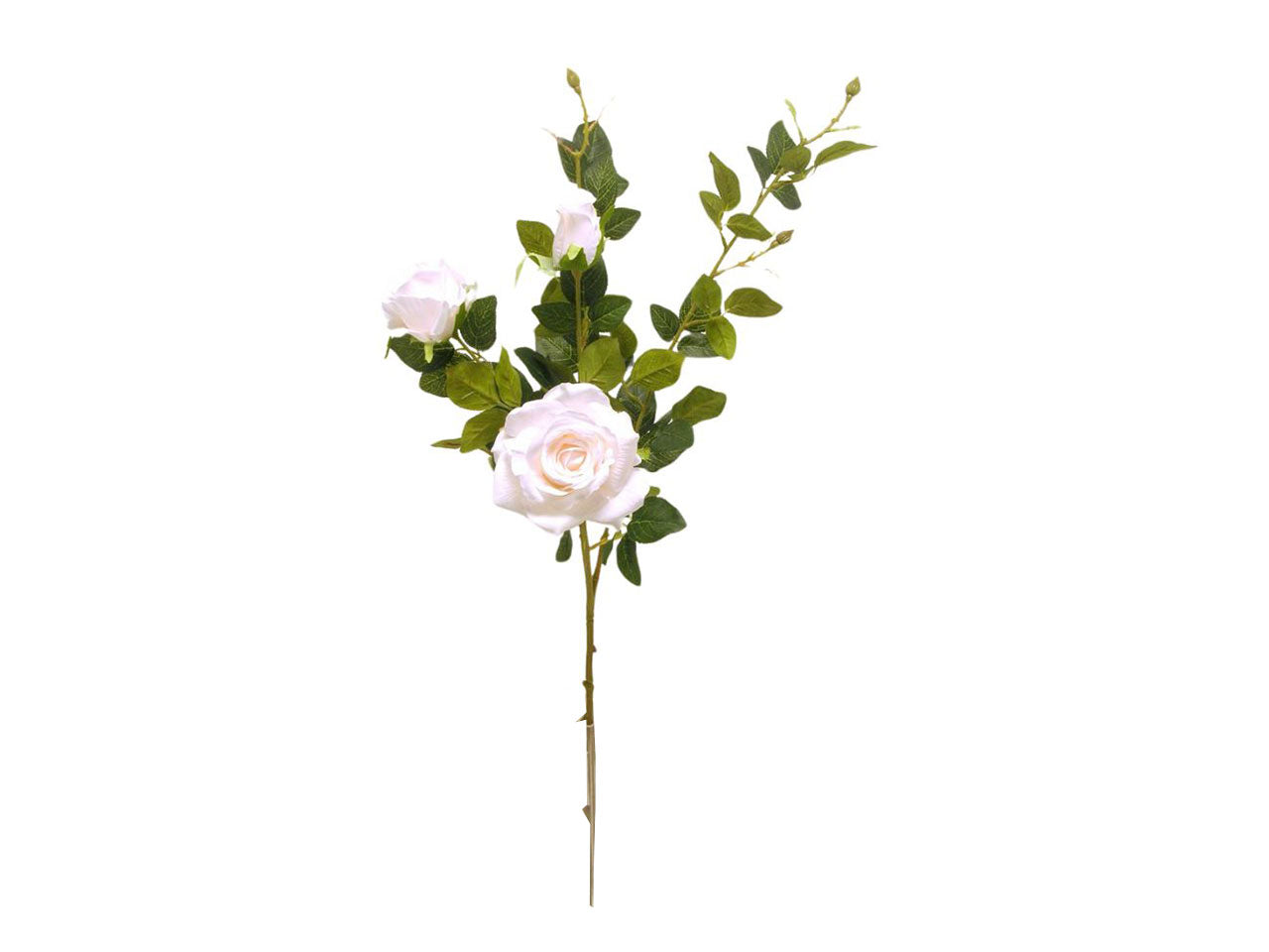Rosa spruzzata 91cm crema