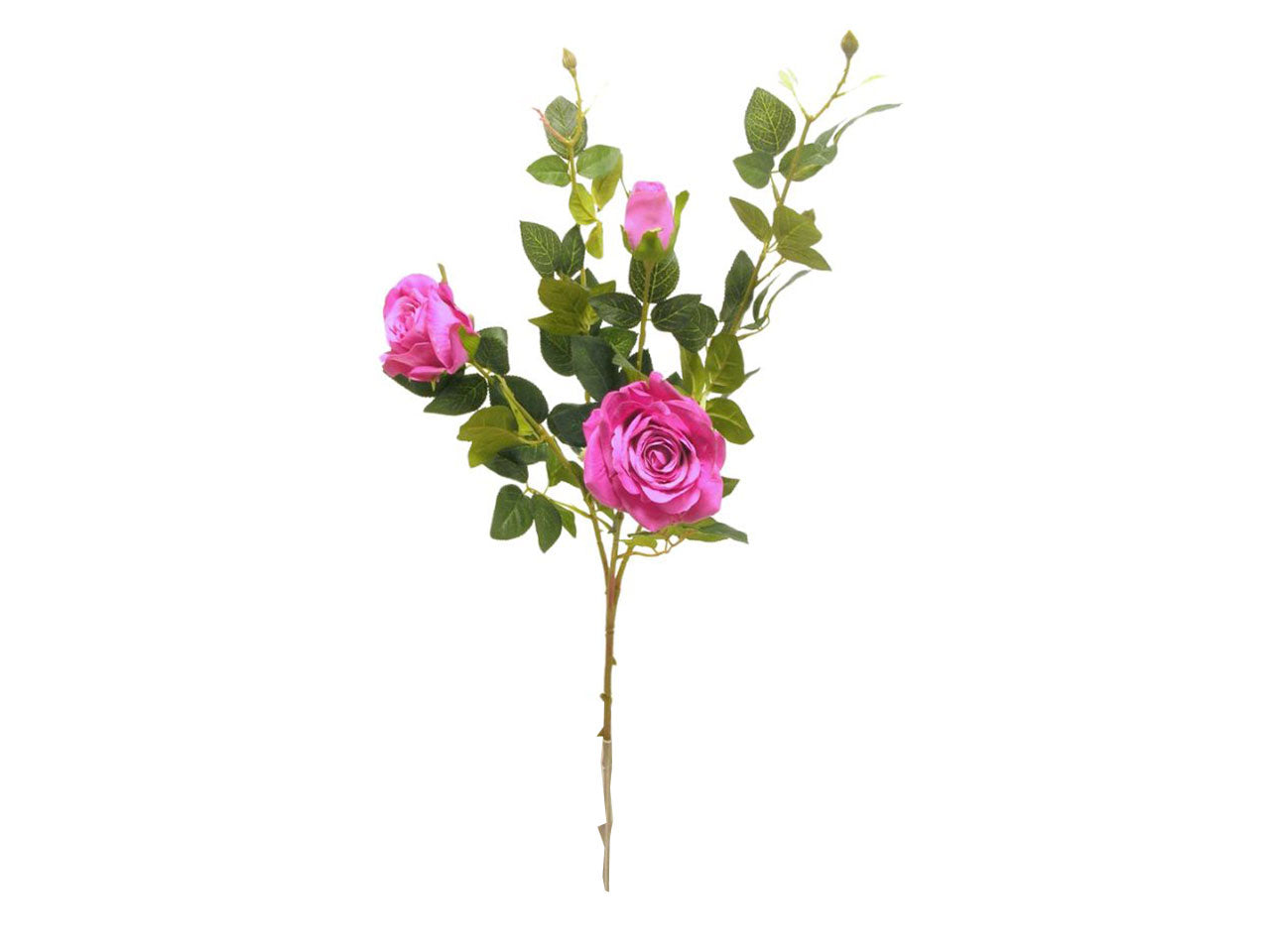 Rosa spruzzata 91cm fuxia