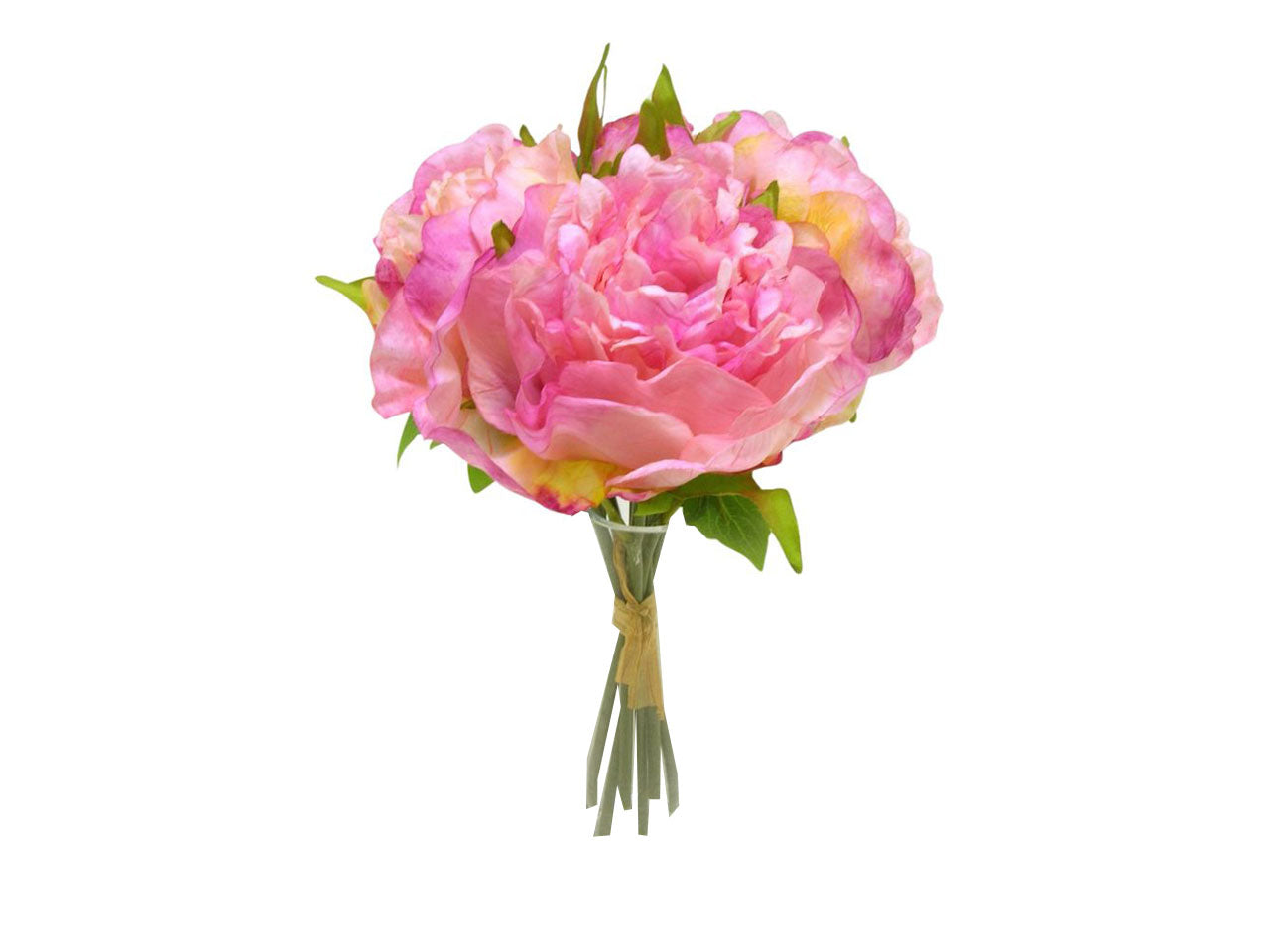 Peonia mazzo rosa