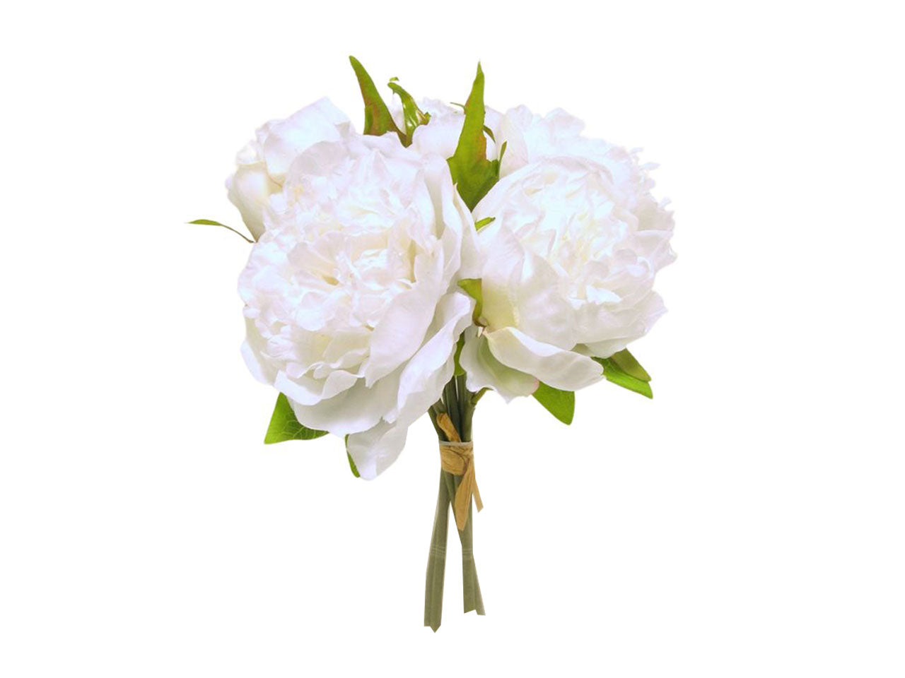 Peonia mazzo crema