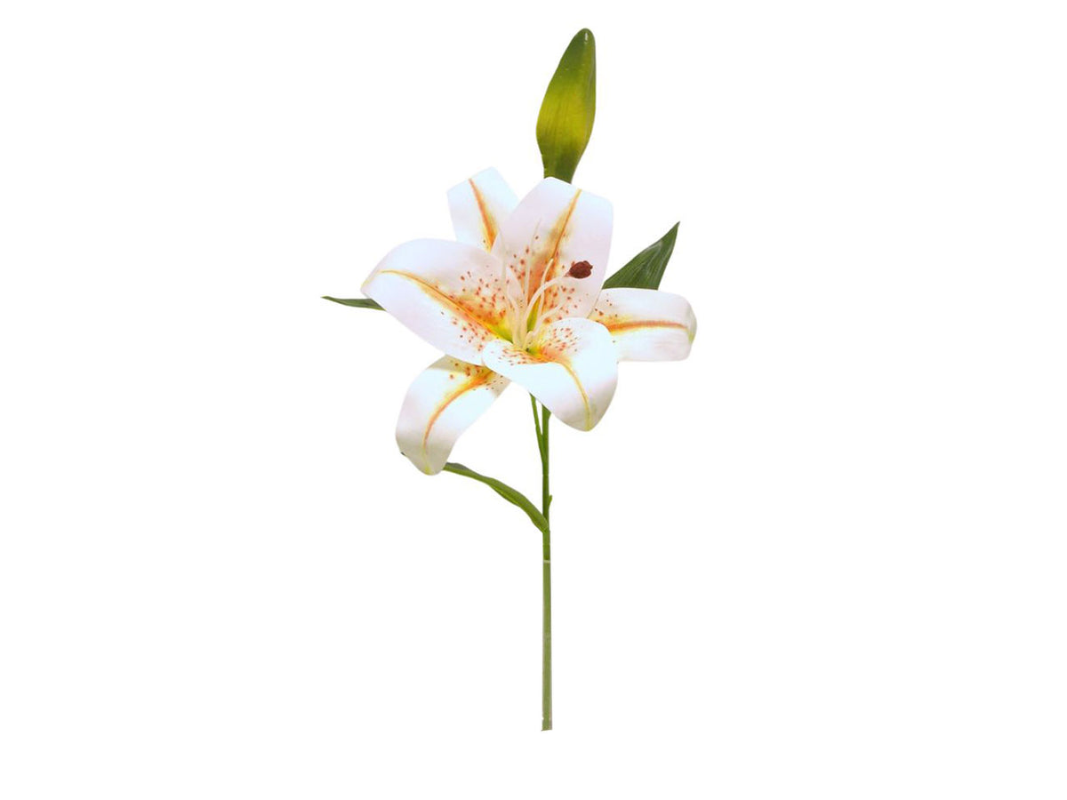 Ramo giglio spruzzata 1 fiore e 1 gemma giallo