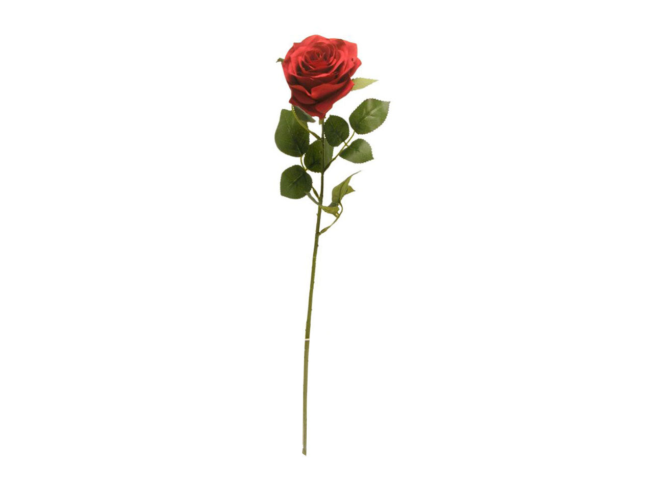 Rosa singola spruzzata 63cm rosso