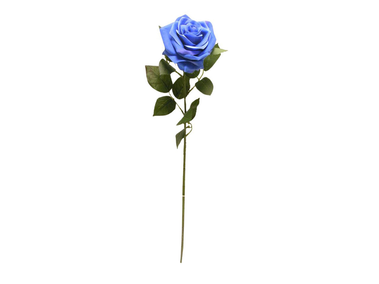 Rosa singola spruzzata 63cm blu
