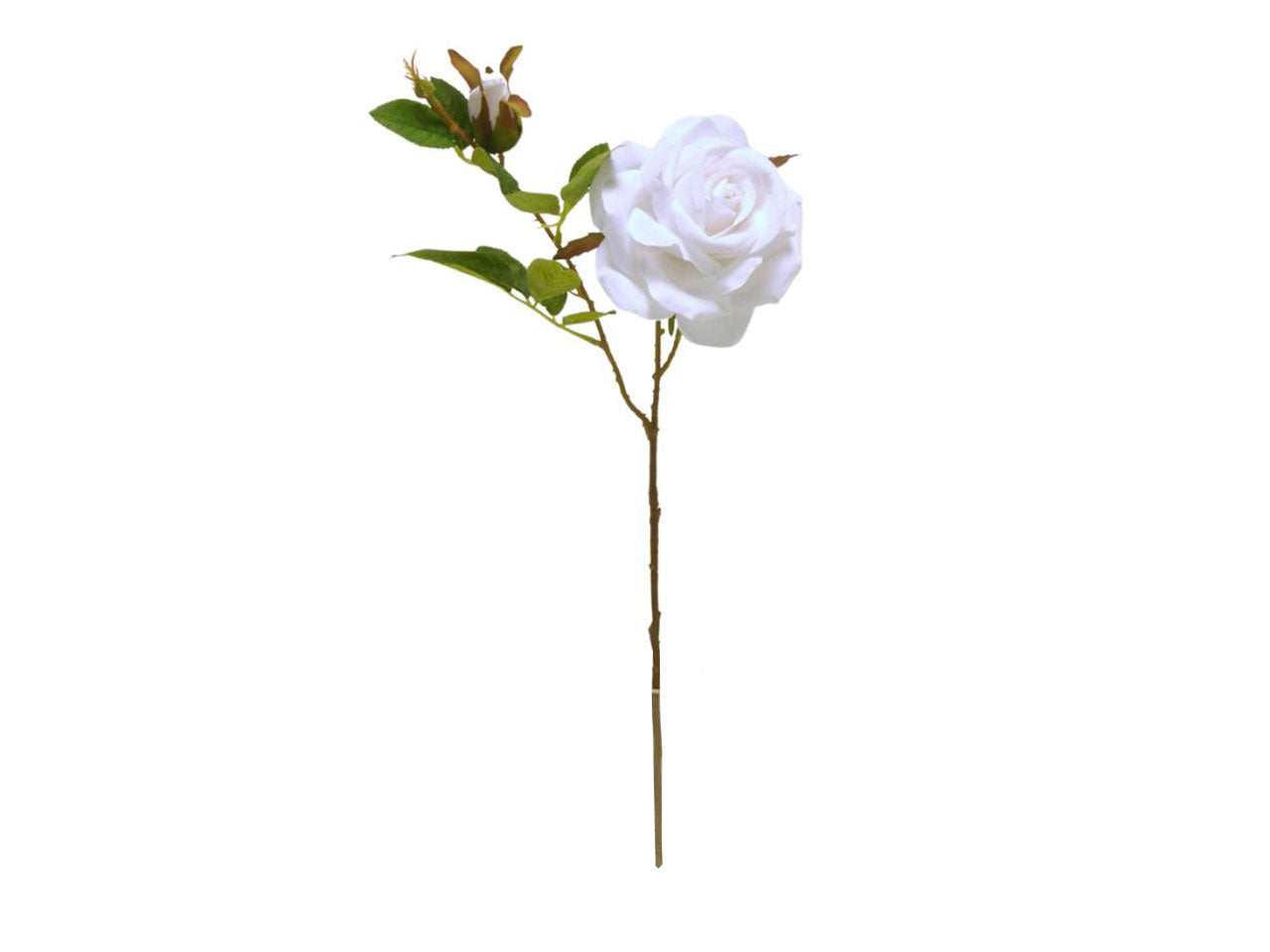 Rose spruzzate 63cm crema