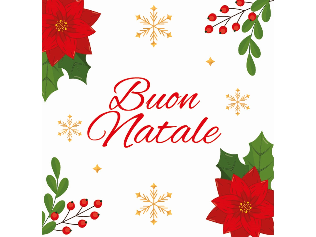 Chiudipacco buon natale in confezione da 10 pezzi fantasie assortite