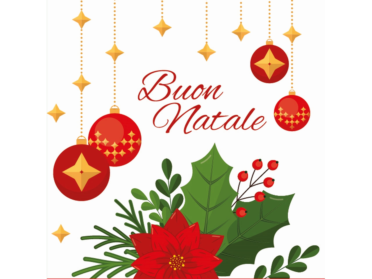 Chiudipacco buon natale in confezione da 10 pezzi fantasie assortite