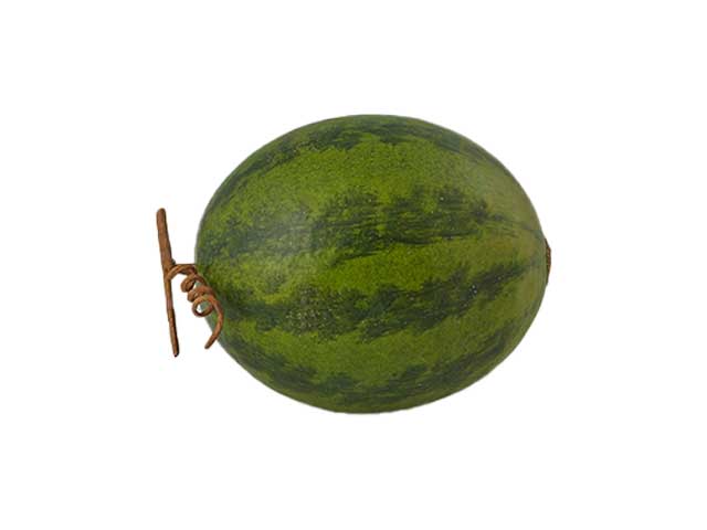 Anguria h17xd15 257236,70