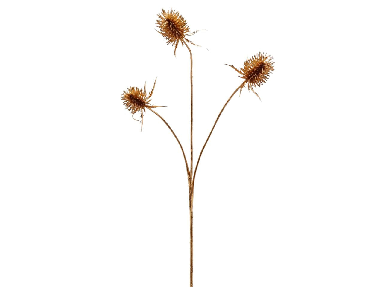 Eryngium rex ramo metal x3 misura h.68cm colore oro