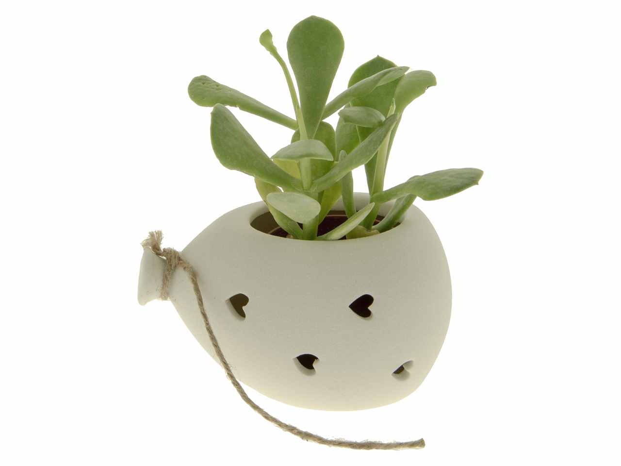 Porta piante bolla 12cm