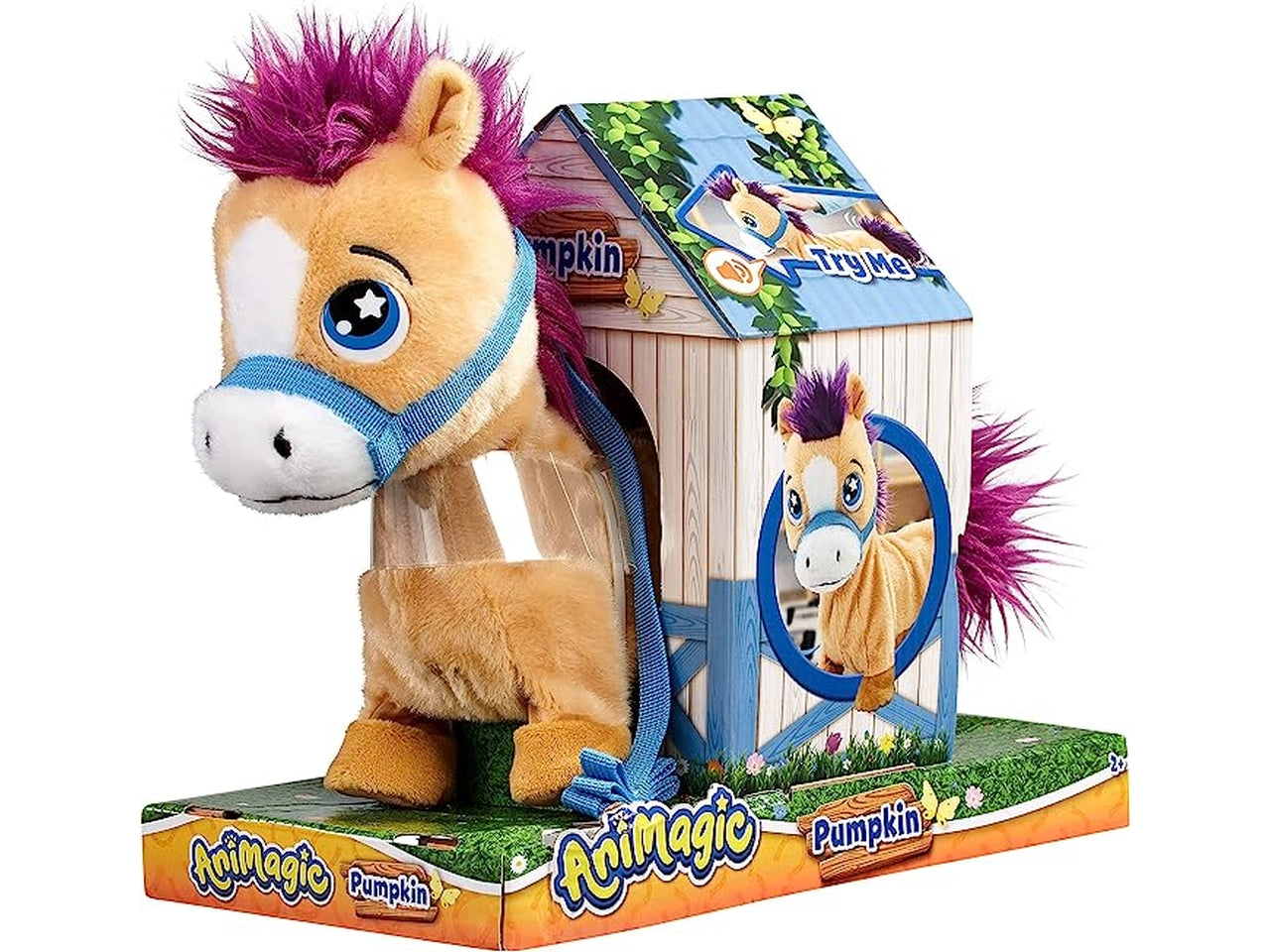 Pumpkin il pony shetland