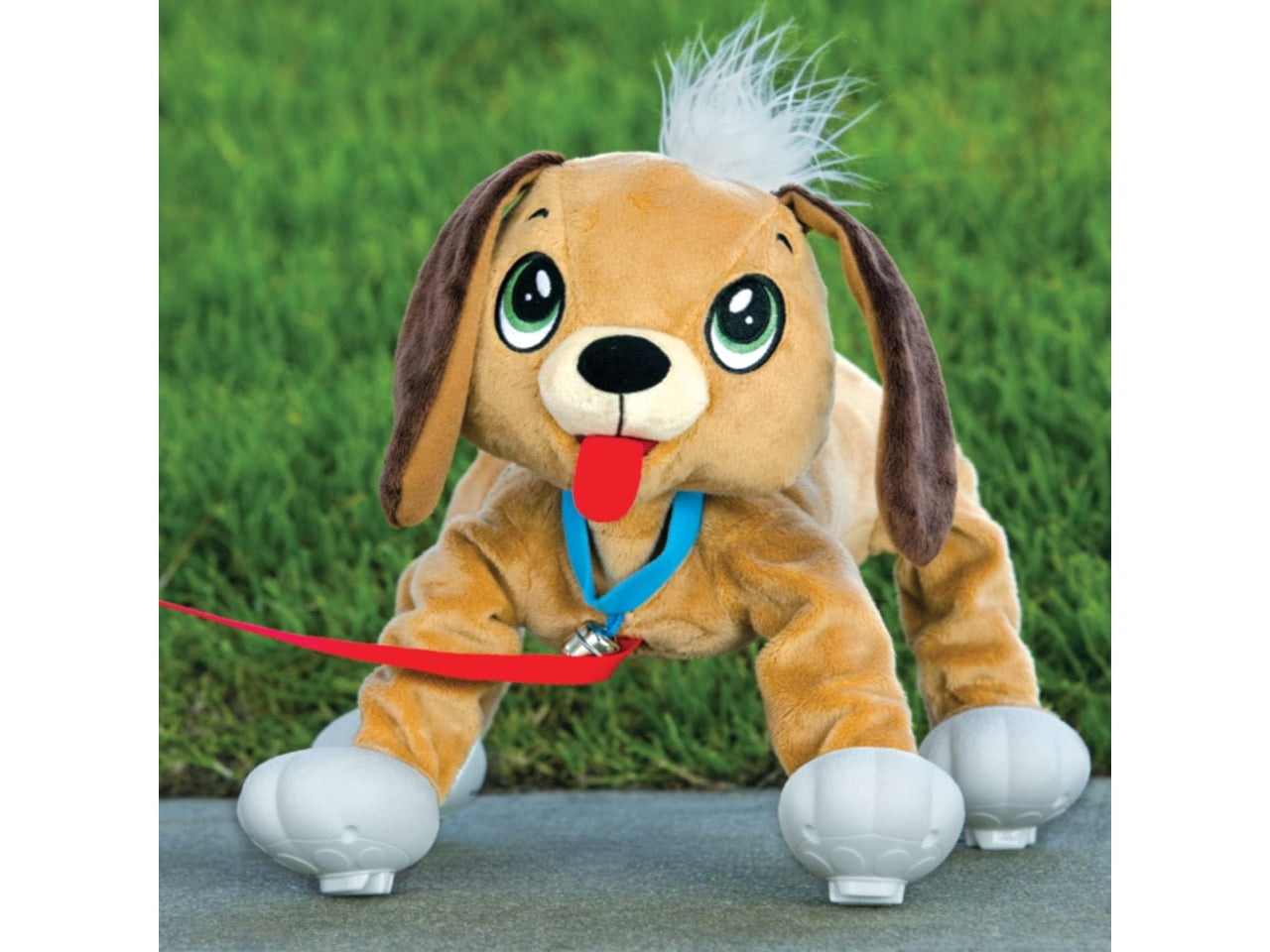 Peppy pups brown dog $