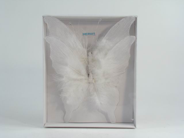 Farfalle box 2 clip 24cm carta/porta  18810