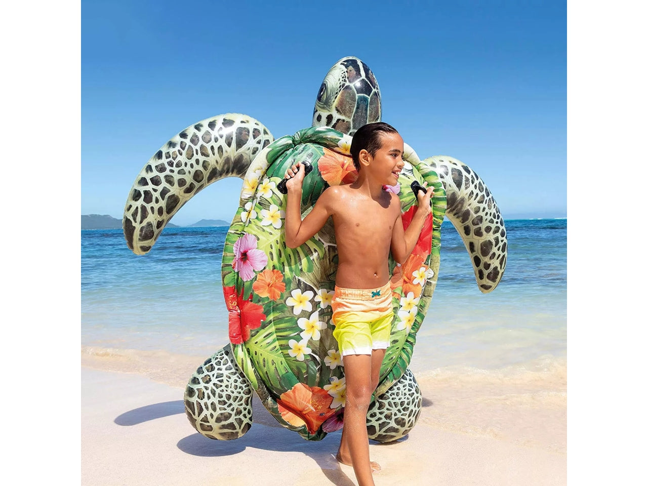 Cavalcabile vera tartaruga 191x170 cm