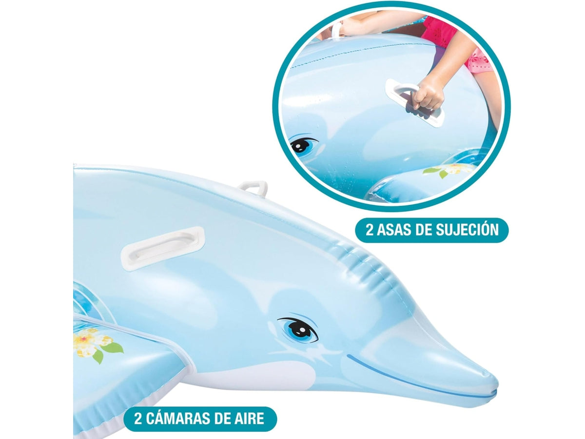 Cavalcabile delfino cm 175x66