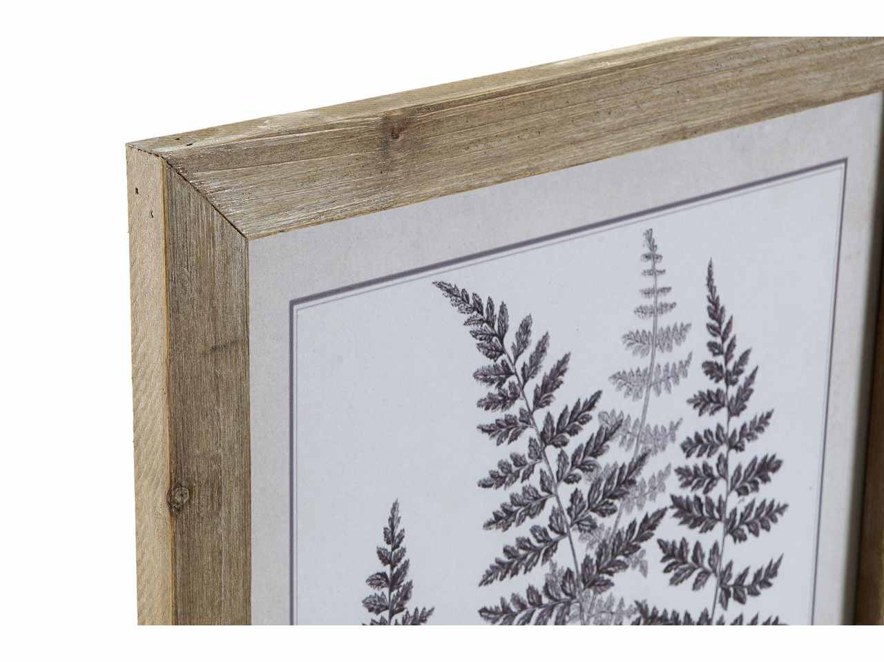 Quadro 35x50cm foglie cu-186433