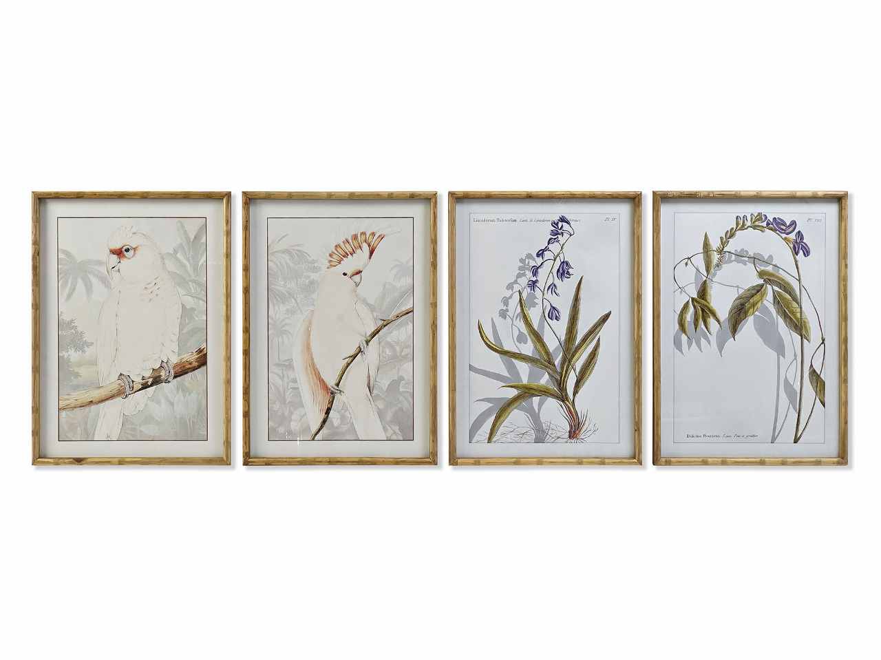 Quadro 50x70cm botanico cu-187490