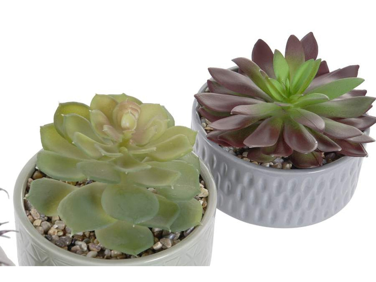 Pianta porc.pvc 11,5x11,5x18 ja-182897