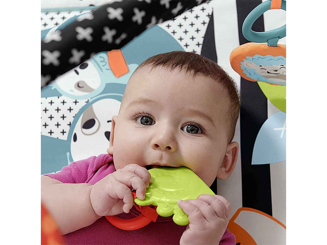 Fisher-price palestrina luci e suoni am