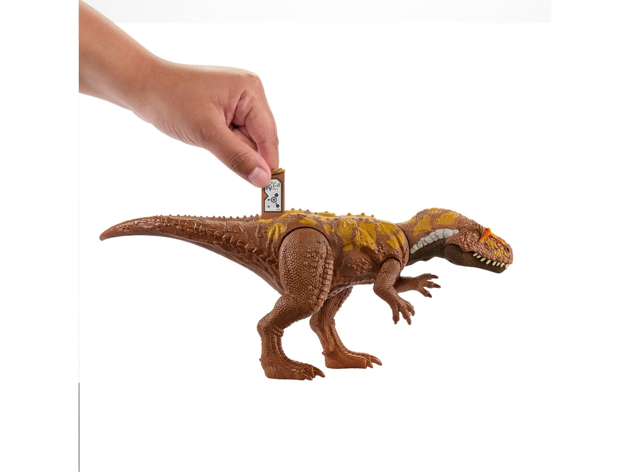 Jurassic W ruggito selvaggio assortiti