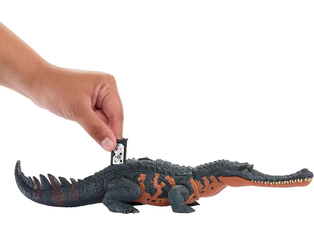 Jurassic W ruggito selvaggio assortiti