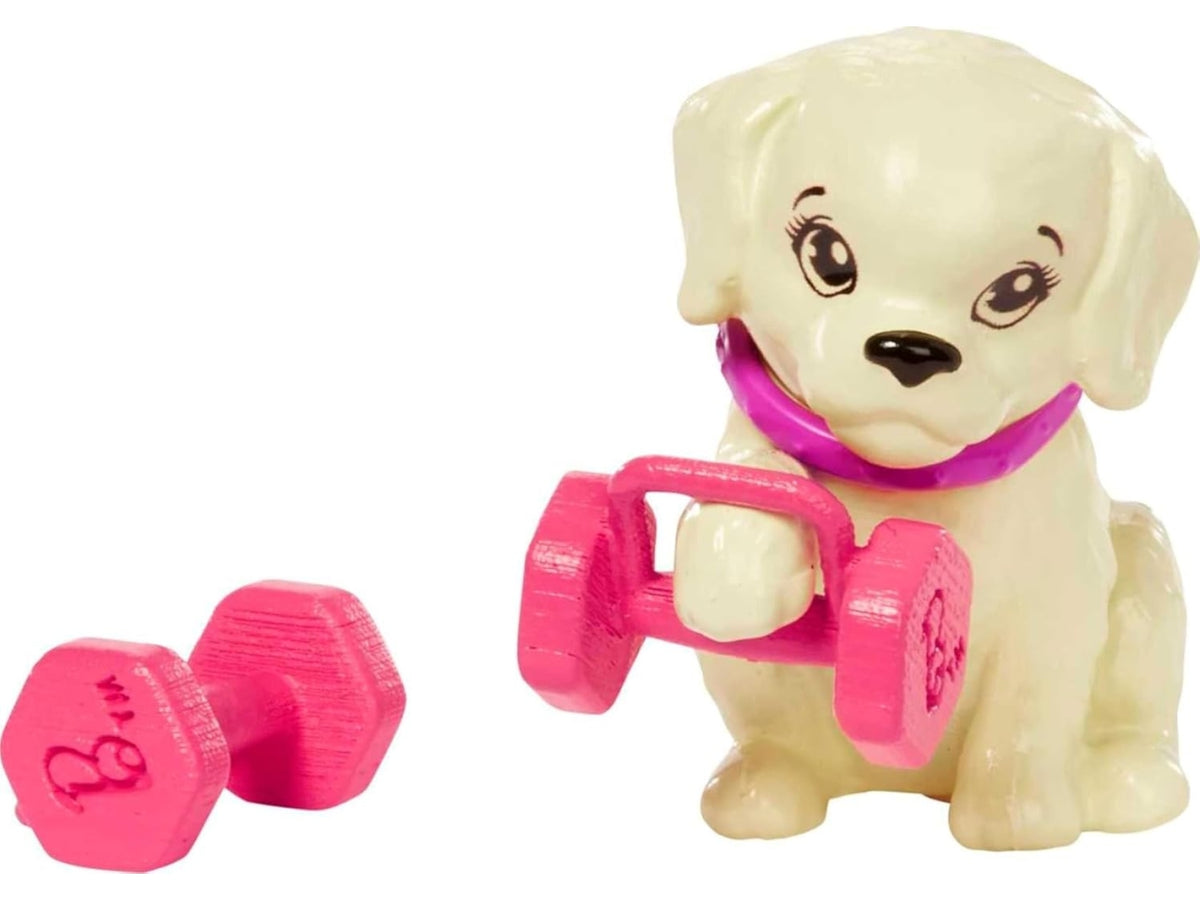 Barbie doll con accessori | Mattel