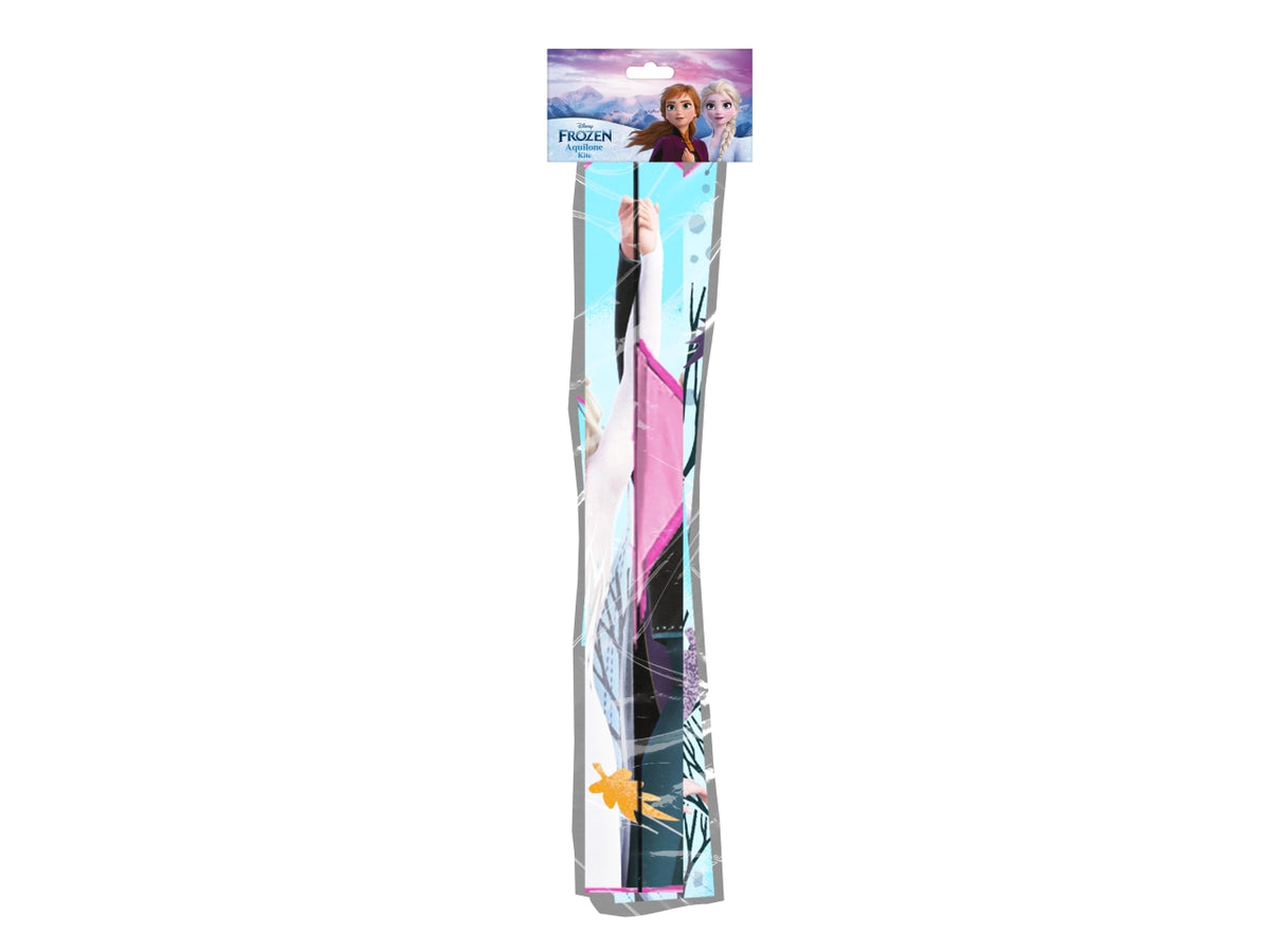 Aquilone per bambina Frozen Disney etÃ  3+ rosa, viola e celeste in plastica 95 cm