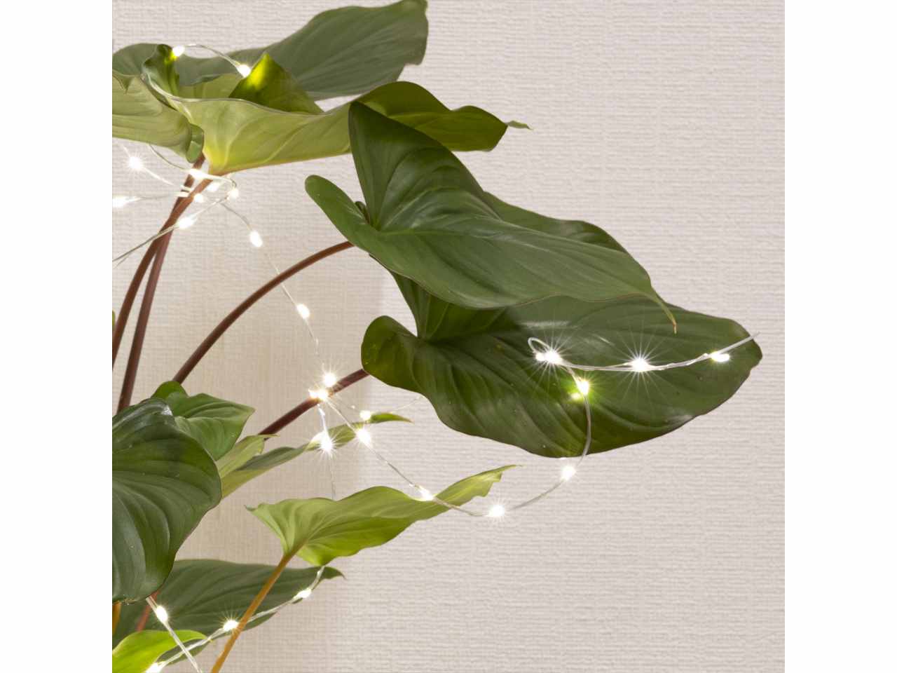 Catena luci 60 micro led 80cmbianco caldo con funzionamento a batteria uso esterno bianco caldo $