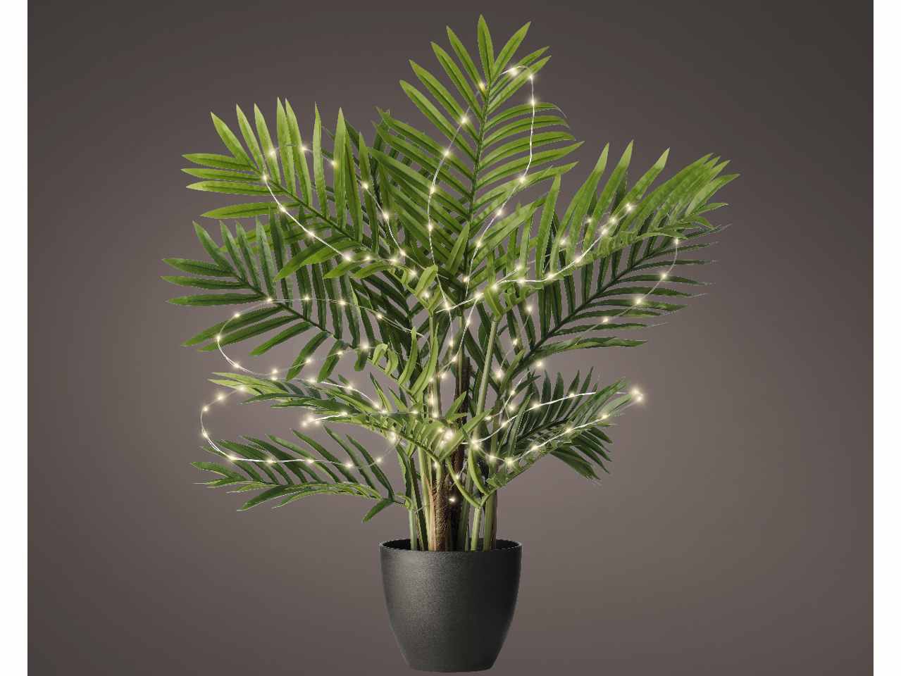 Catena luci 60 micro led 80cmbianco caldo con funzionamento a batteria uso esterno bianco caldo $