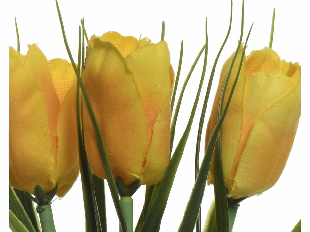 Pianta di tulipano h.17cm colori assortiti rosa, bianco, viola e giallo