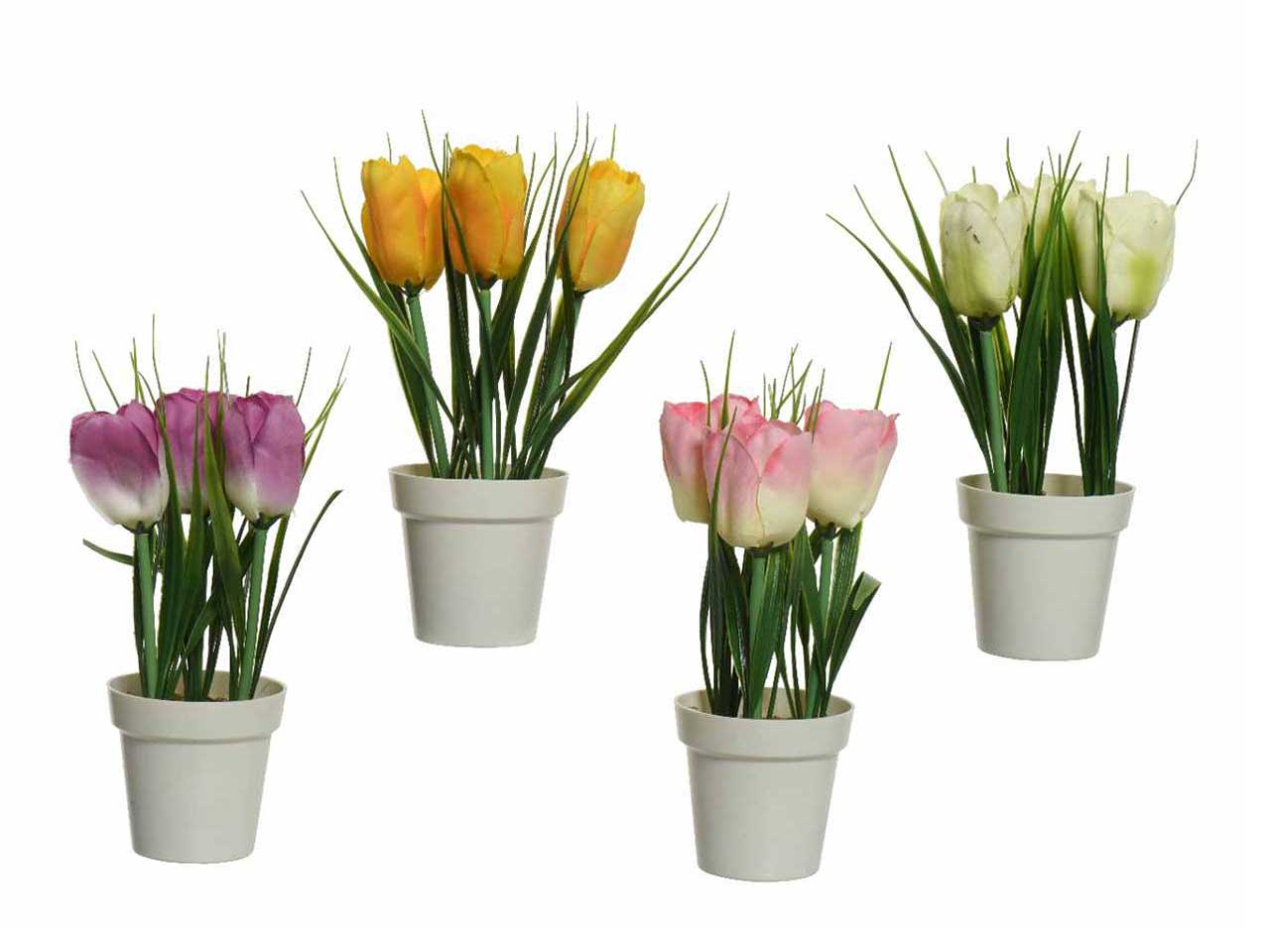 Pianta di tulipano h.17cm colori assortiti rosa, bianco, viola e giallo