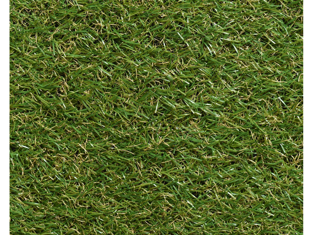 Rotolo di prato verde 100x200 cm x altezza 2,2cm