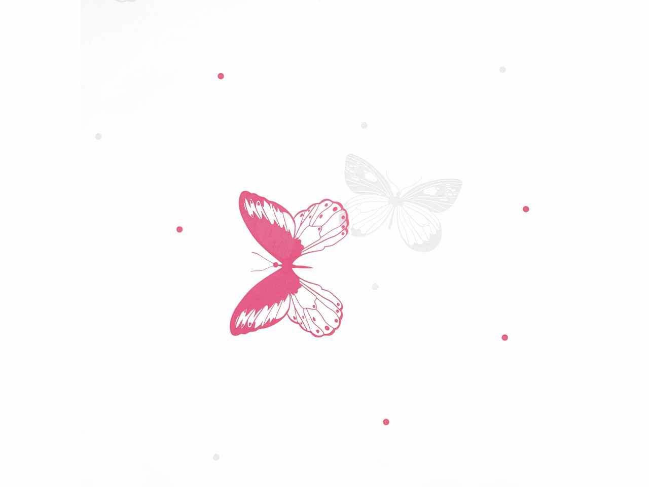 Fogli stampa decoro borboleta ciclamino 30my 100x130cm
