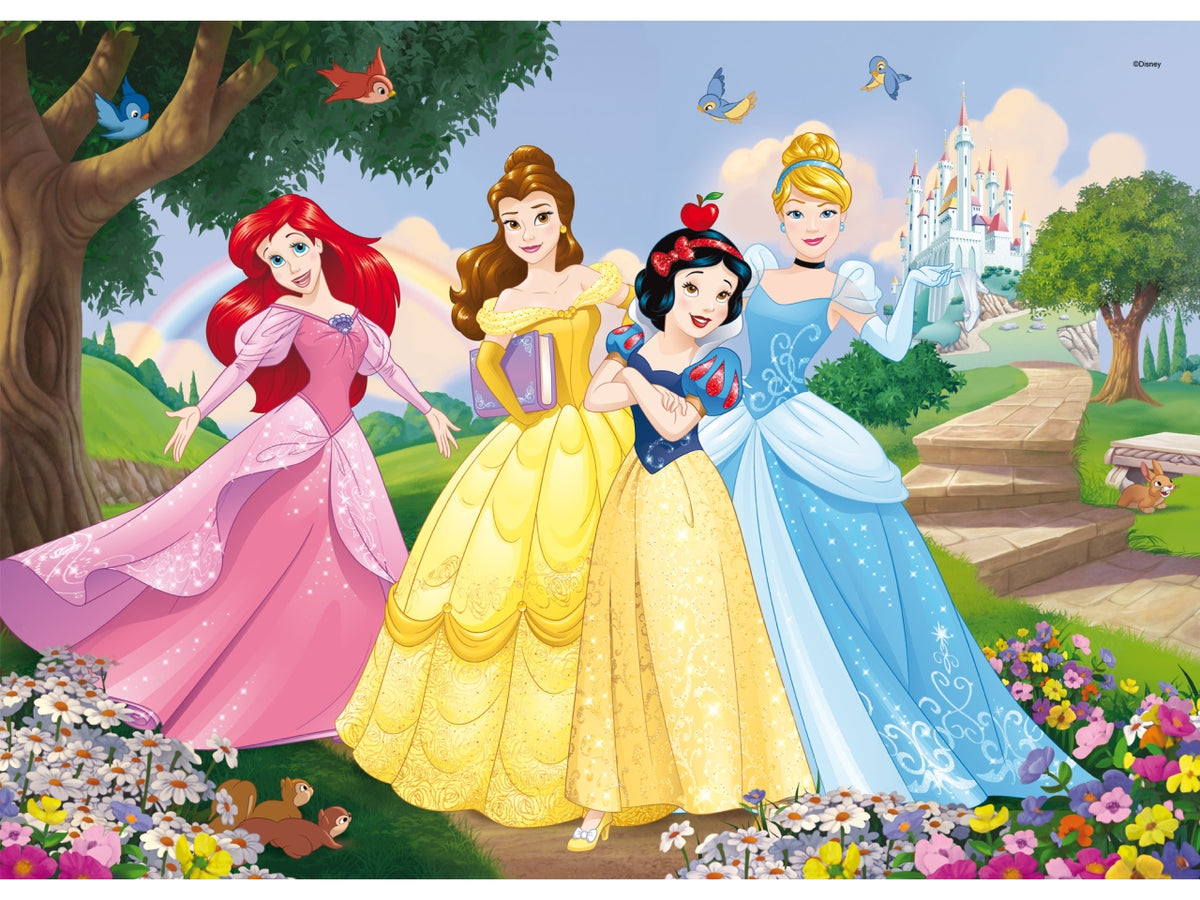 Disney puzzle df maxi floor 35 princess