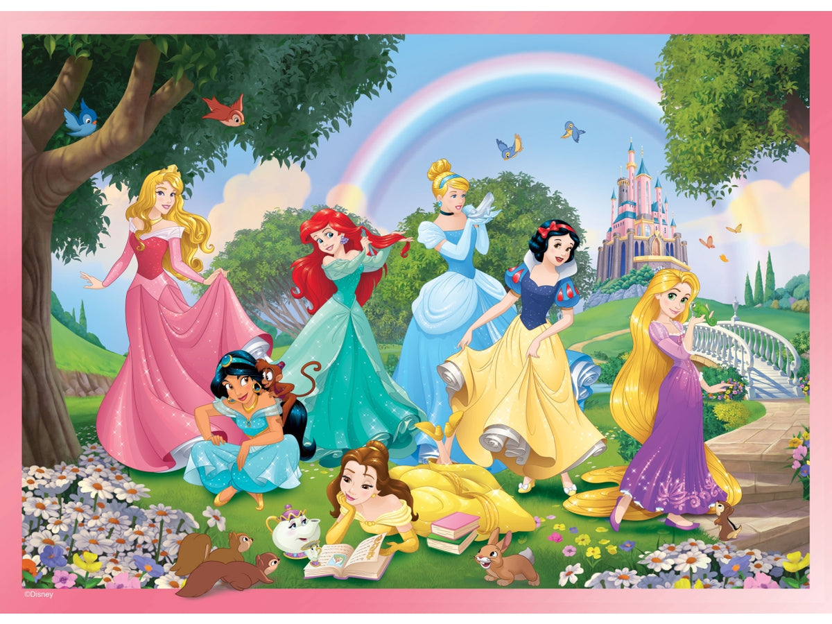 Puzzle df plus 24 princess