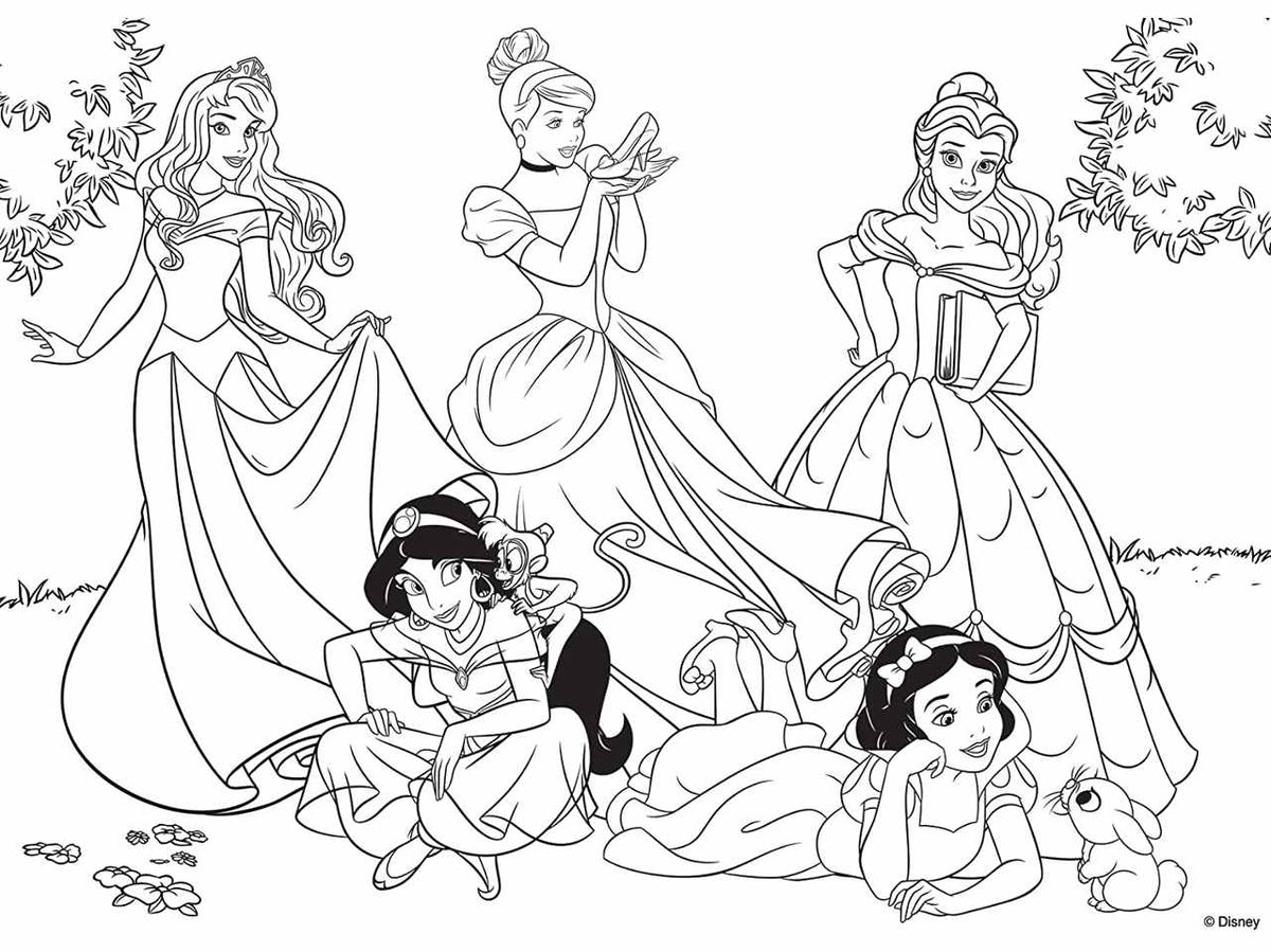 Puzzle df plus 60 princess