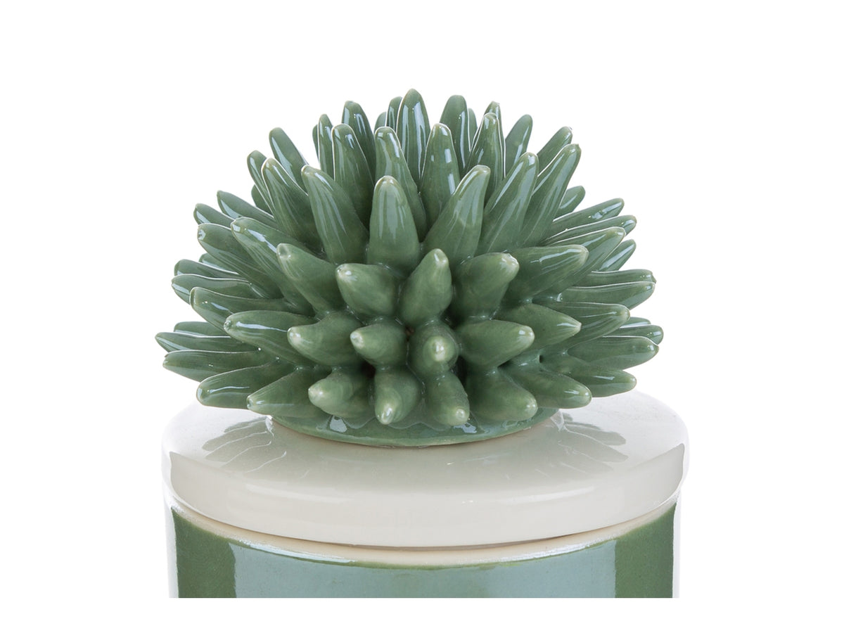 Candela scatola corallo porcellana verde 7,5x7,5xh.11,5cm con astuccio
