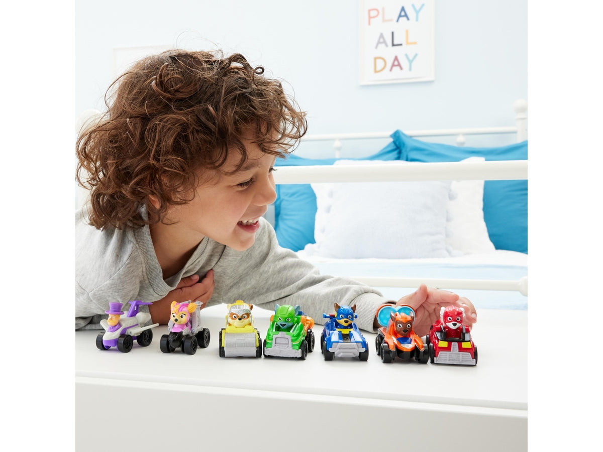 Paw patrol veicoli pups squad modelli assortiti $